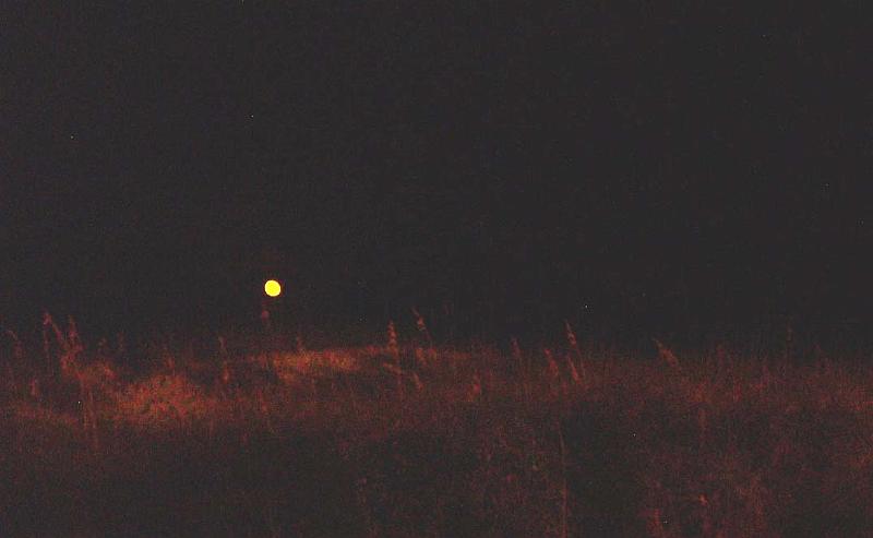 1119_rising_moon.JPG